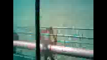 жътва на pапица 