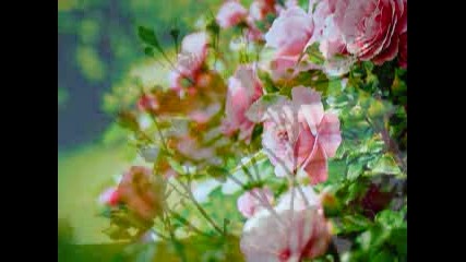 La vie en rose - Lisa Ono