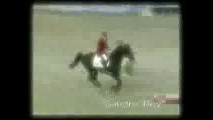 Crazy horse jumping