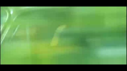 Official Theatrical wanted Movie Trailer
