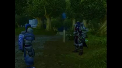 World of Warcraft Cops Guards 