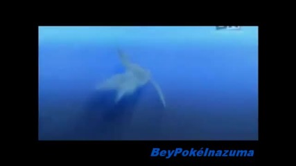 Beyblade,pokemon,inazuma Eleven Amv - Angel In Disguise