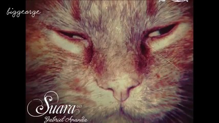 Gabriel Ananda - The Hunt ( Original Mix ) [high quality]