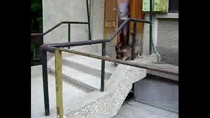 Kote6ka Koloniq V Tarnovo.avi 