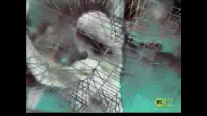 Snap - Rhythm Is A Dancer