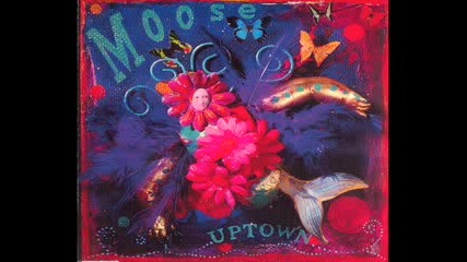 Moose - Anything Nevergreen 
