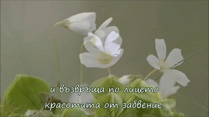 Пролет