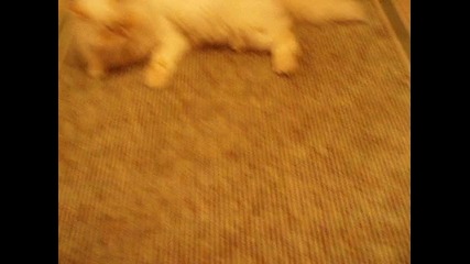 Picture 044