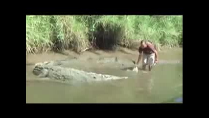 Човек целува крокодил за да му пусне ръката 