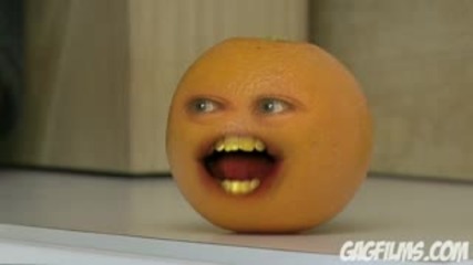 Orange vs. Tomato !!!!!!!!!!
