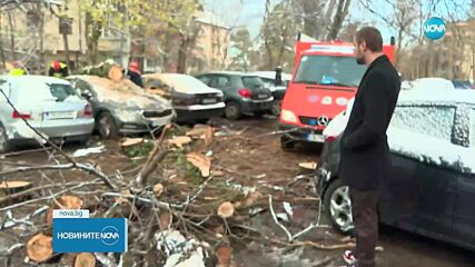 Сняг и силен вятър в София, десетки сигнали за щети