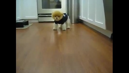 Най - сладкото същество на света!