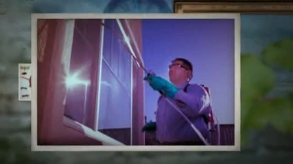 chandler pest control