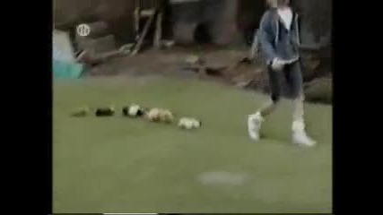100% Смях - Видео с животни