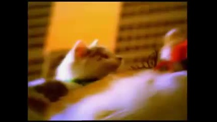 Fatboy Slim - The Joker 