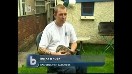 Жена Затвори Котка В Кофа За Боклук 