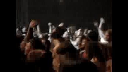 Cavalera Conspiracy - Arise (live 2008)