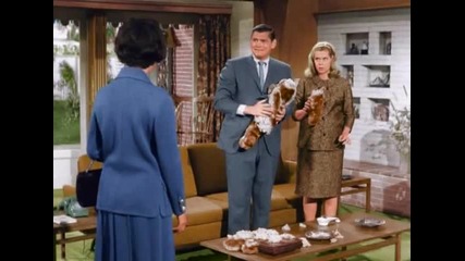 Bewitched S2e13 - My Boss The Teddy Bear