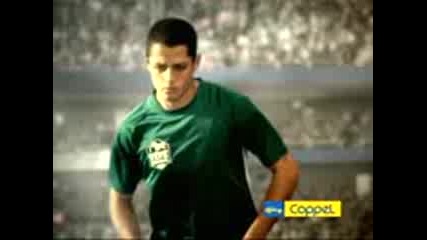 Chicharito Coppel