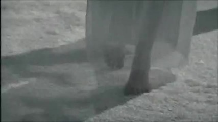 Cradle of Filth - Her Ghost in the Fog (official Video) [hd size]
