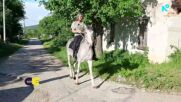 „Нищо лично”: Една жена, която владее 51 занаята