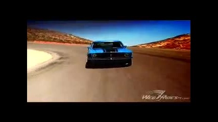 Boss 302 Mustangs - Part 2