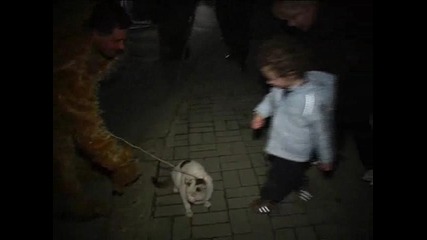 Strumica Carnival Path#8