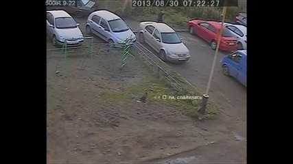 Жена с едногодишен стаж, излиза от паркинга все едно е карала цял живот (видео)