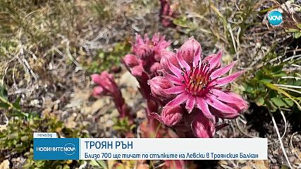 Стотици бягат по стъпките на Васил Левски в Троянския Балкан