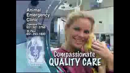 Animal Planet - Animal Emergency Clinic