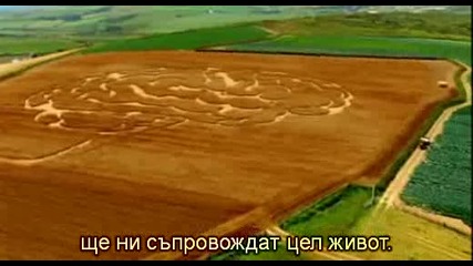 Човешкият мозък - индивидуалност - Bg subs част 1/2 