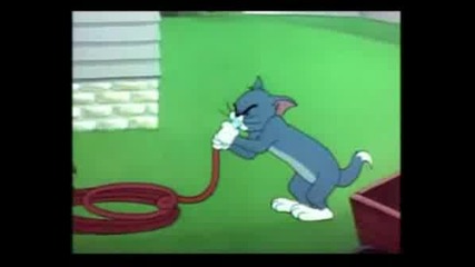 Tom I Jerry Parody Qko Smqh..