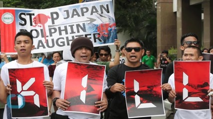 Japanese Aquariums Vote to Stop Buying Taiji Dolphins