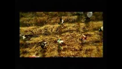 Morandi - Save Me 