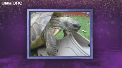 David Attenborough narrates the shoe-mounting tortoise video - The Graham Norton Show