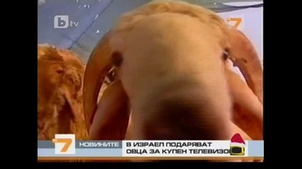 Необичайна промоция в Израел