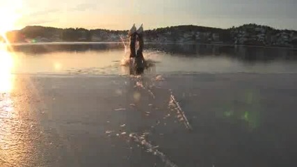 Като моржовете 