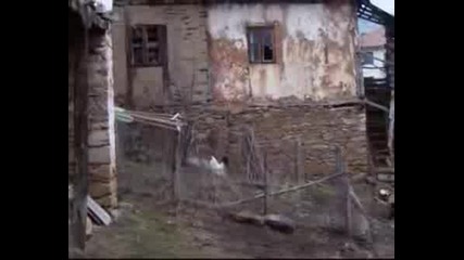 Веска Илиева - Аиде Вино Пия...