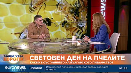 Експерт: Цената на истинския мед започва от 10-12 лв. килото, всичко по-евтино от това е фалшификат