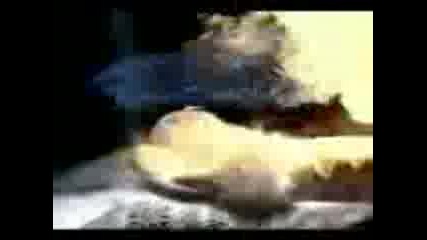 Funny Commercial Clips