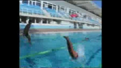 Център - 8.08.2008
