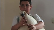 10 годишно момче от Смолян, свири на гайда - така започна 12 ден от обиколката на Родопите с колела.