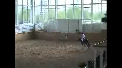 Horses - Задира