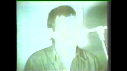 Animals - When I Was Young