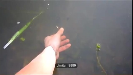 Ловене на риба с голи ръце