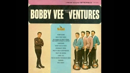 Bobby Vee - What's Your Name