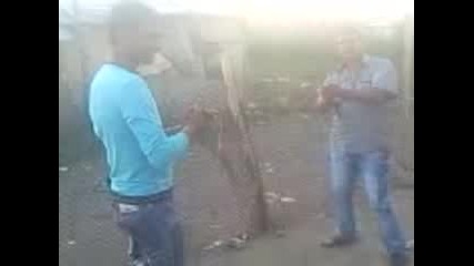 metin_neneshko