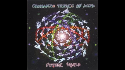 Shamanic Tribes On Acid - Funked Out Of My Brains