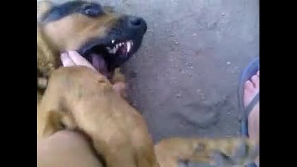 Vid_20140811_135821
