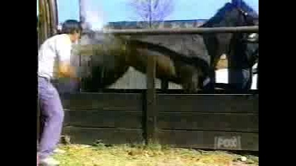 откачено видео